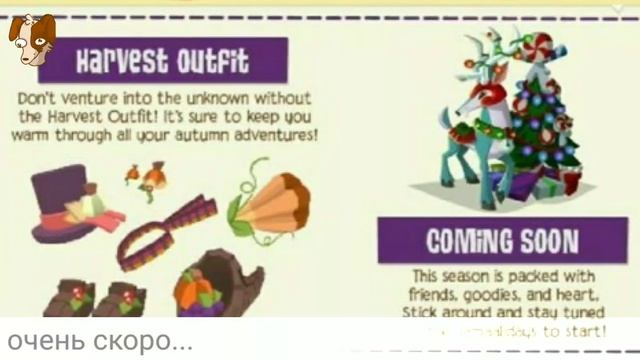 Спойлеры на ноябрь в энимал джем плей вайлд/spoilers On November In Animal Jam Play Wild (AJPW)