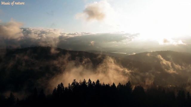 Утренняя музыка - музыка для снятия стресса, позитивная энергия, хорошая расслабляющая музыка