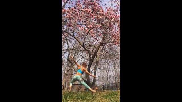 Magnolia-scented Breeze