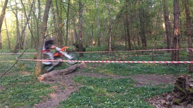 Светлогорский лес - эндуро-трасса