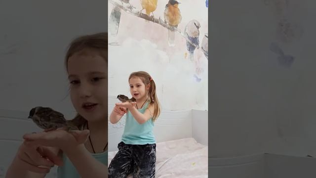 Спасение птенца