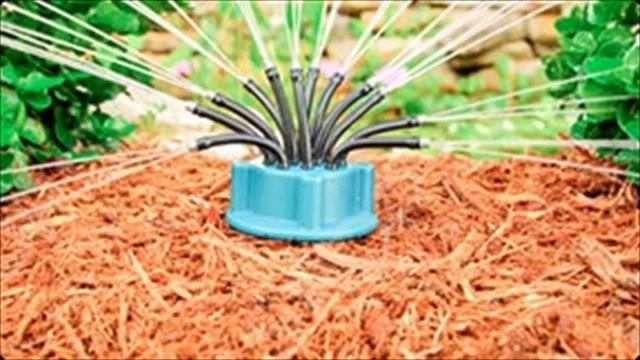 купить шланг для полива огорода в спб