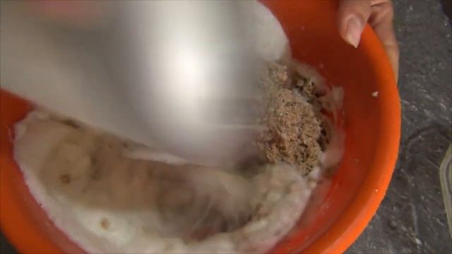 Delicioso Bizcocho Saludable Sin AZUCAR De Avena Y Manzana  - Yana Creativa