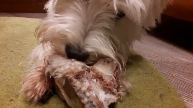 я думаю вы поставить 20000 лаекгоф!!!!!!!!!!!!!!!