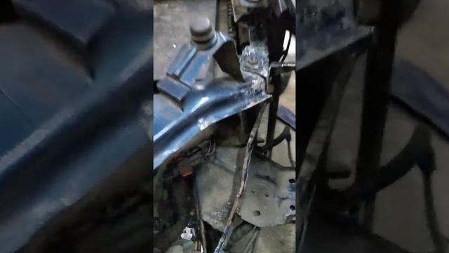 Ремонтная эволюция