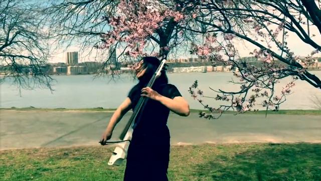 The Arena-Lindsey Stirling-Electric Cello Cover