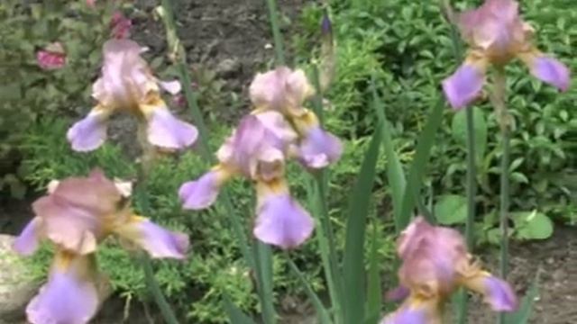 0da6c1a3348b5601658f793782e768a1