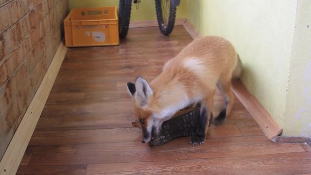 Как Сделать Полезное