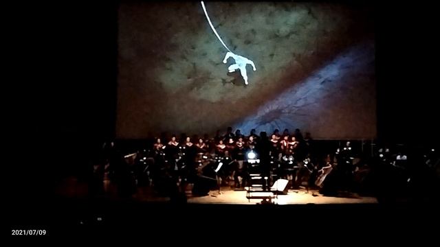 Senya - Itachi's Theme. Naruto Shippuden Orchestra Ver.