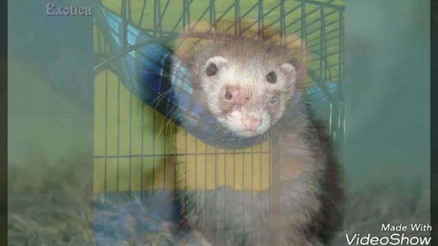 Мастерская Талантов