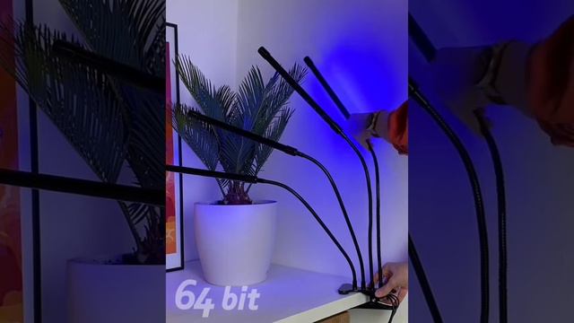 Ade8fa7991aea2a1b227627a703891b3