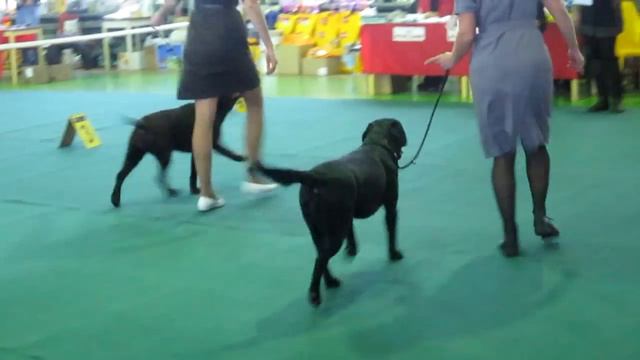 D33ecaefe7e3febc53dc3e63bf777b26