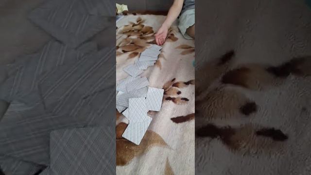 27 июля 2023 г.
