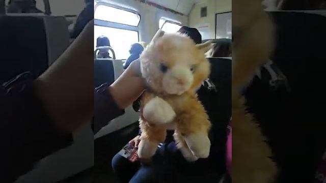 5311b2e4182aee102dd2bccdd2579aec