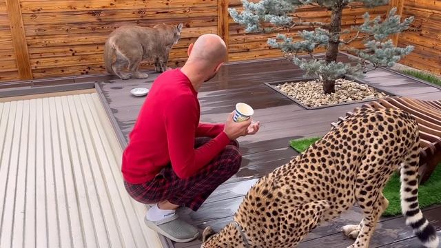 Герда съела у Саши всю еду!