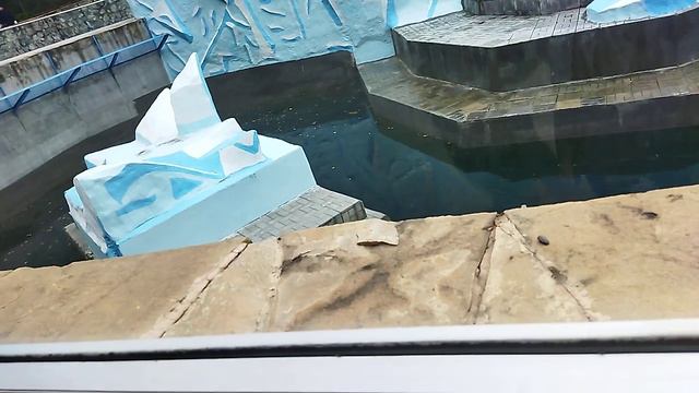 83532f257a997f414b6ab28abcdd68b7