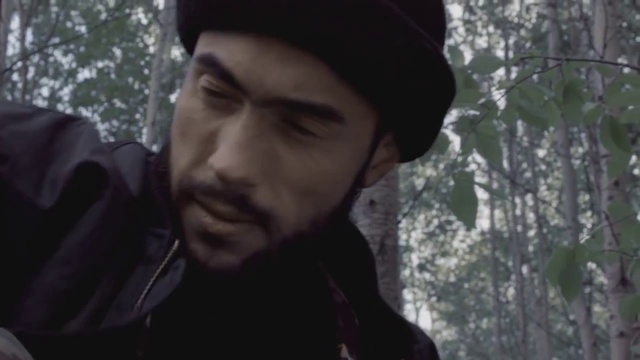 Параллельные истории