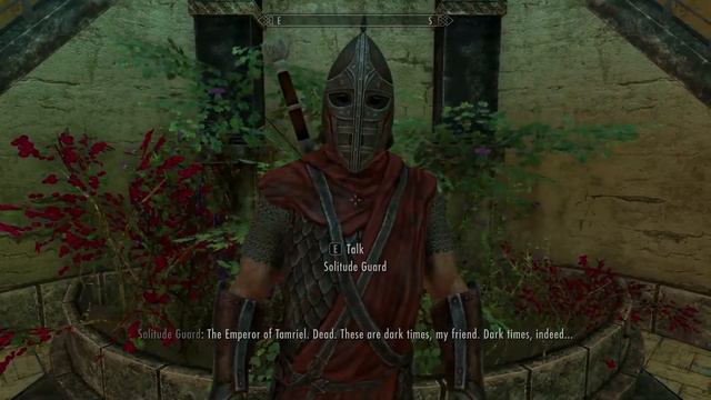 Guards Reaction To Penitus Oculatus Armor.  Skyrim Special Edition