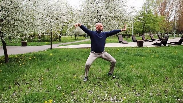 Фрагмент комплекса фиксированных позиций ( ДИНШИ ) тайцзицюань стиля У.