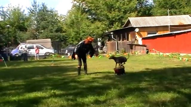 9a979917f6cd9a13b8403131b12ab3f0