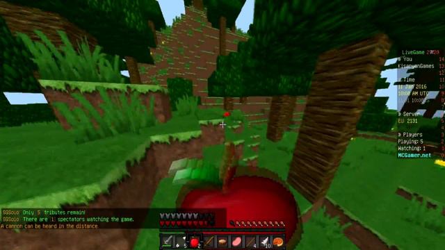 SurvivalGames#001(Как я начал играть в майнкрафт, мой имидж):3