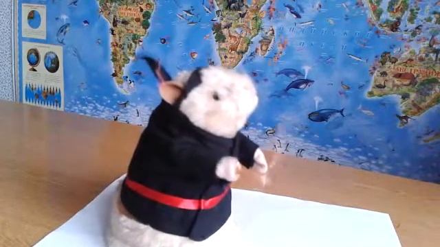 танцующий хомяк