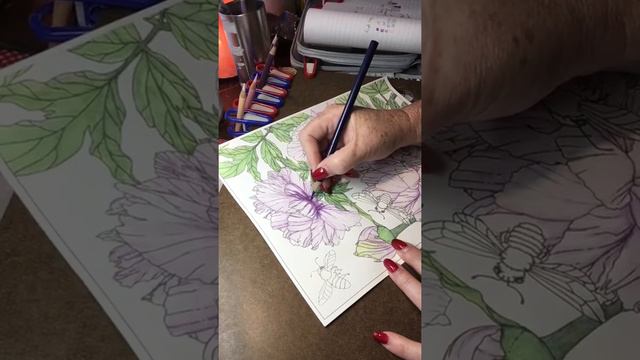 Prisma Pencils Layering. Adult Coloring. Peonies And Bees. Part 3