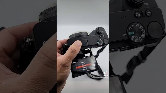 Sony Alpha 6600 ILCE-6600 Sony A6600 ⭐️ EN STOCK ⭐️ - Comprar En Argentina - En Stock