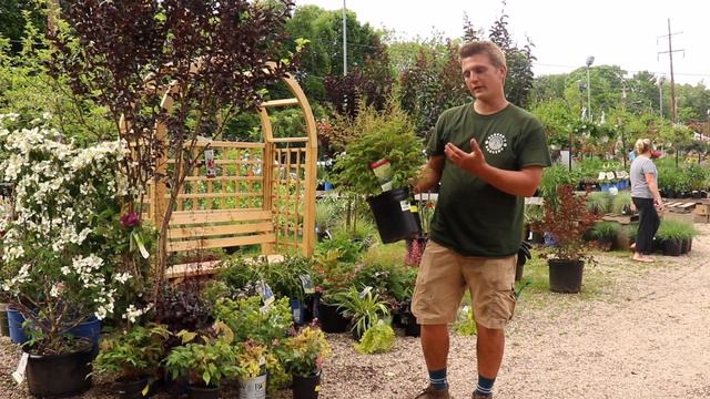 Perennial Garden Options With Baxter Olsen & Pam Ireland From Decker's Nursery