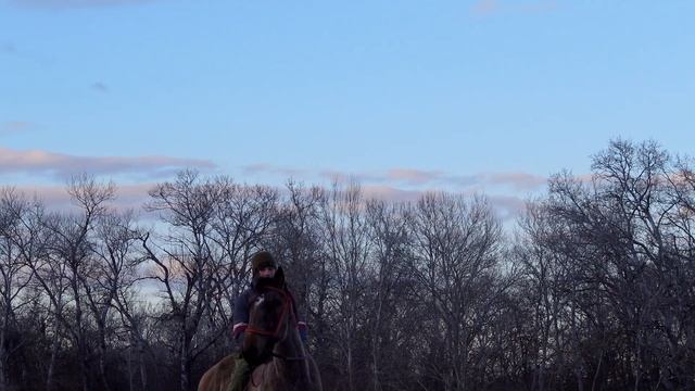 ЧЕЧЕНСКИЕ ПЕСНИ ПОД ГИТАРУ От Души исполнил