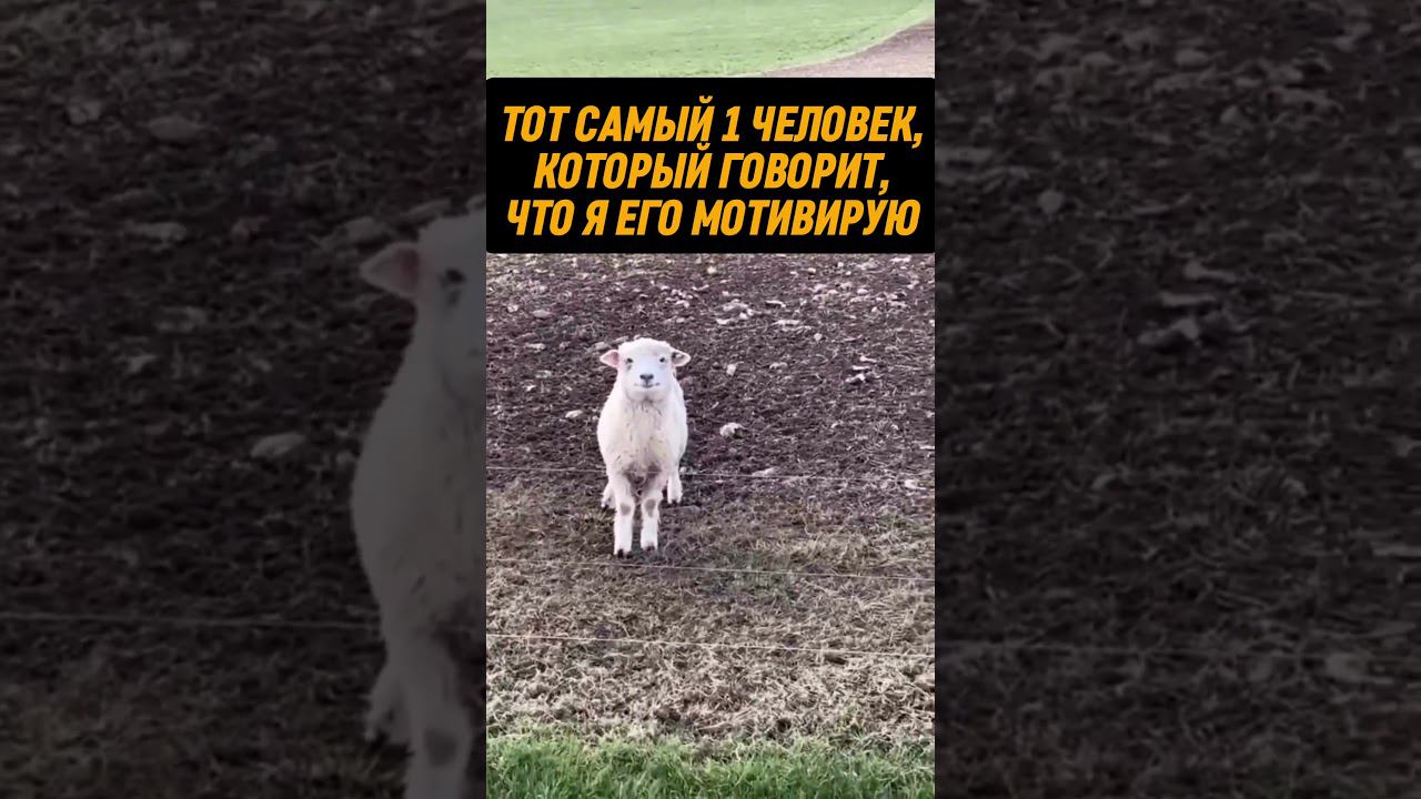 Вот зачем я постоянно тренируюсь!