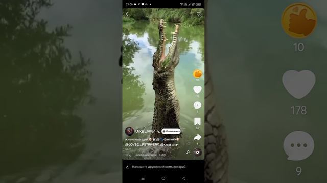 7bd10de9492db528bc6a844876683666