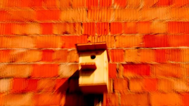 Серебряная Свадьба - Adieu, La Tête