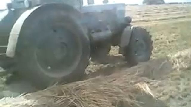 Тюкуем эспарцет