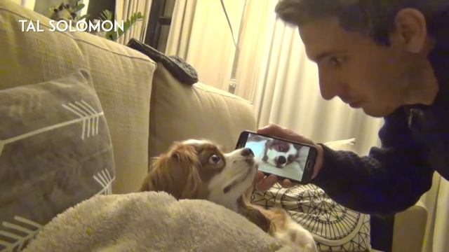 94a3761f61c61da1fa3990e7437e09af