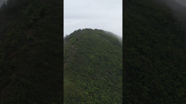 Красота Холмов