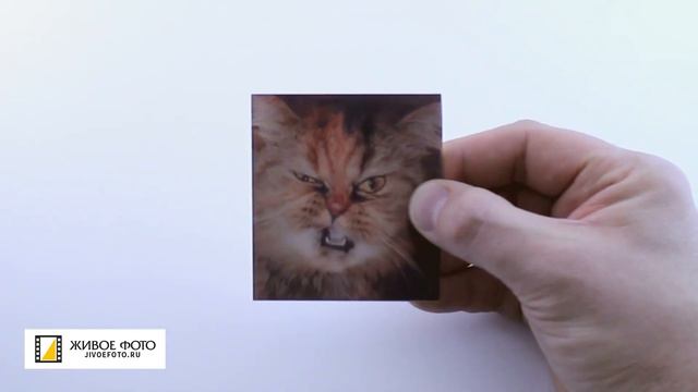 Фотосервис 