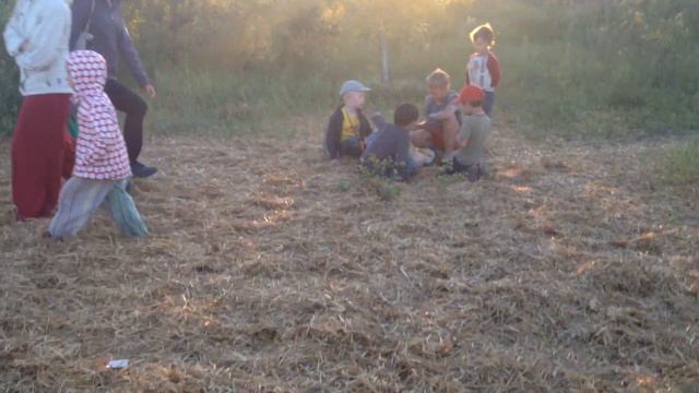 C463b9ce0fc533b682bceb993edc0853