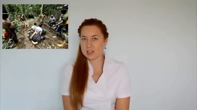 Тайланд - Чикунгунья