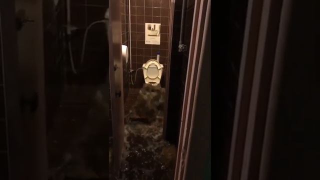 Cамый страшный сон