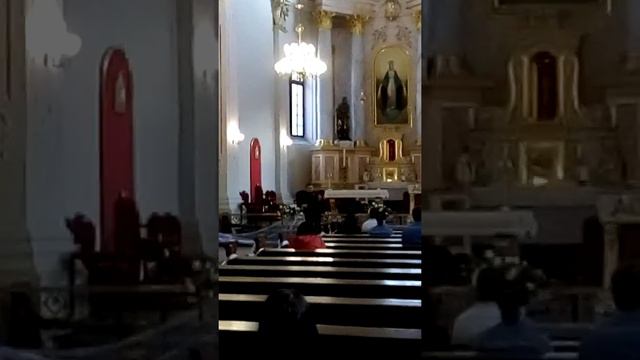 Скрипач Душа летает по Костелу