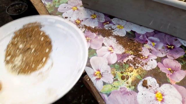 413e28496daece63394387cb3f27d408