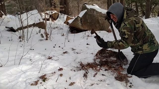 Fisher Gemini 3 First Test And Live Digs