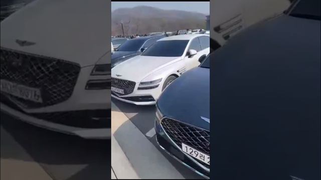 Какие автомобили у лидеров компании Атоми?