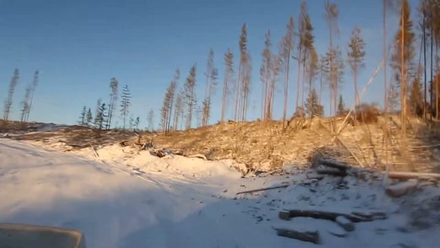 Карелия. Выходные в тайге !