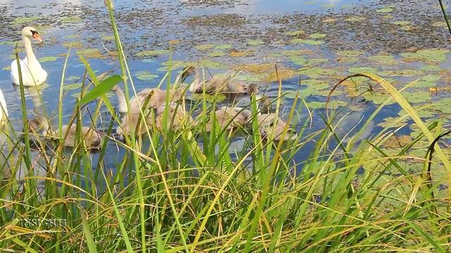 E54e0621deeca03c7122159f874f09a3