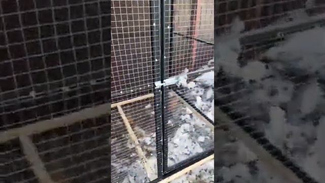 Курятник зимний