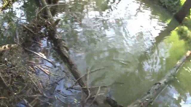 Рыбалка на летнюю мормышкубоковой кивокспасение рыбы из сети