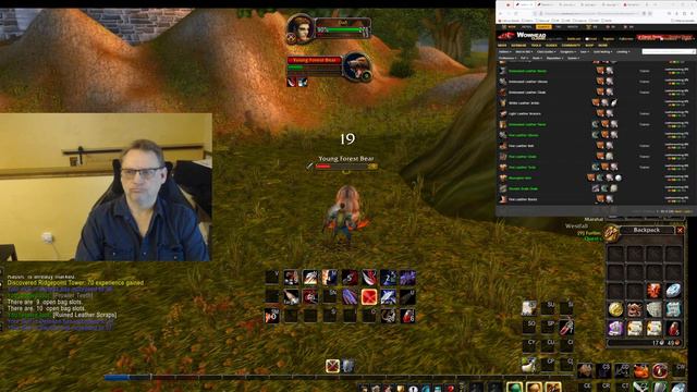 WoW Classic HC Warrior II 01