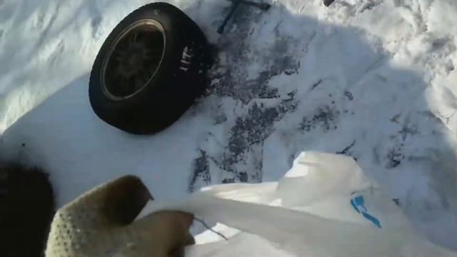 Автомобильная акула